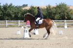 SBM_020252