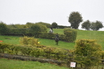 WJ5_7057