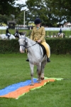 S12 - Family Horse & Pony portfolio