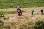 Lowther-708