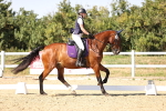 SBM_006705