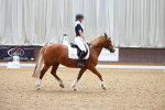 SBM_008077