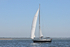 170526 SLOW GIN GBR2075L 1Y3A9532_Edit