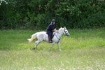 WJ7_8730