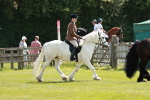 SBM_07036