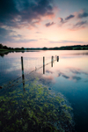 23 of 52: Pickmere Lake