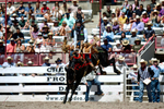 3HRodeo7-19-25_CFD_03847_