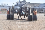 BPP_7715