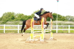 SBM_000561