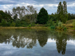 Reflected