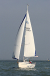 151031 GOLDEN DAWN GBR7893T THE PACKHOUSE WT7A5432