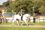 SBM_50052