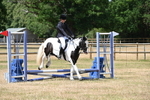 WJ6_5318