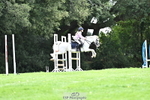 Cls 12 to 18 Pony Classes portfolio