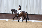 SBM_009350