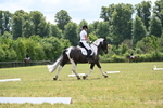 WJ6_6844