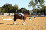 SBM_14205