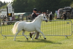 SBM_00637