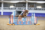 SBM_003411