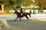 SBM_53966