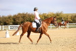 SBM_009164
