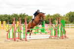 SBM_002256