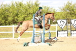 SBM_002985