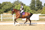 SBM_006700