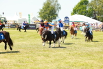 SBM_17324