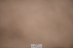 240623A-111004-17024