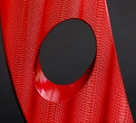 Red Bird Detail