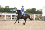 SBM_008653