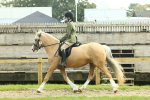 SBM_62594