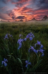 Spring Storms at Wagon Hill