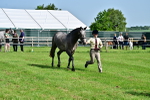 SBM_03305