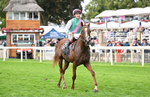Race 4 15.35pm Juddmonte International Stakes portfolio