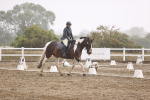SBM_004794