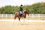 SBM_008752