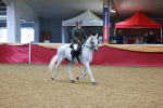 SBM_05467