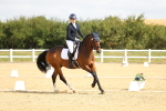 SBM_015653