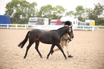 SBM_20123