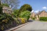 Flower Lane