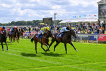 120626-Race 5-Antipodes-7837