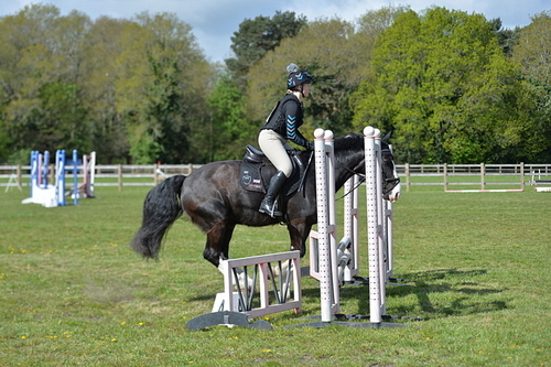 NGP_7317