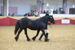 SBM_16702