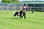 SBM_03495