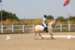 SBM_004950