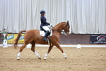 SBM_002669