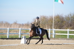 SBM_003410