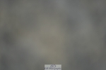 230909-174518-07319